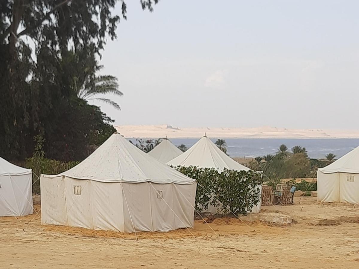 Tunis Camp Al Fayyūm Δωμάτιο φωτογραφία